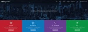ama-ny-new-website