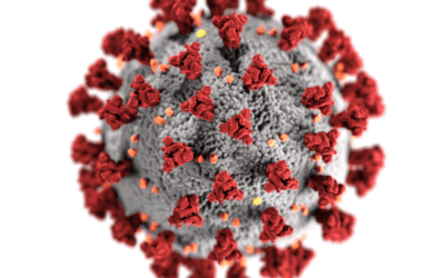 Leadership Shifts During the Pandemic