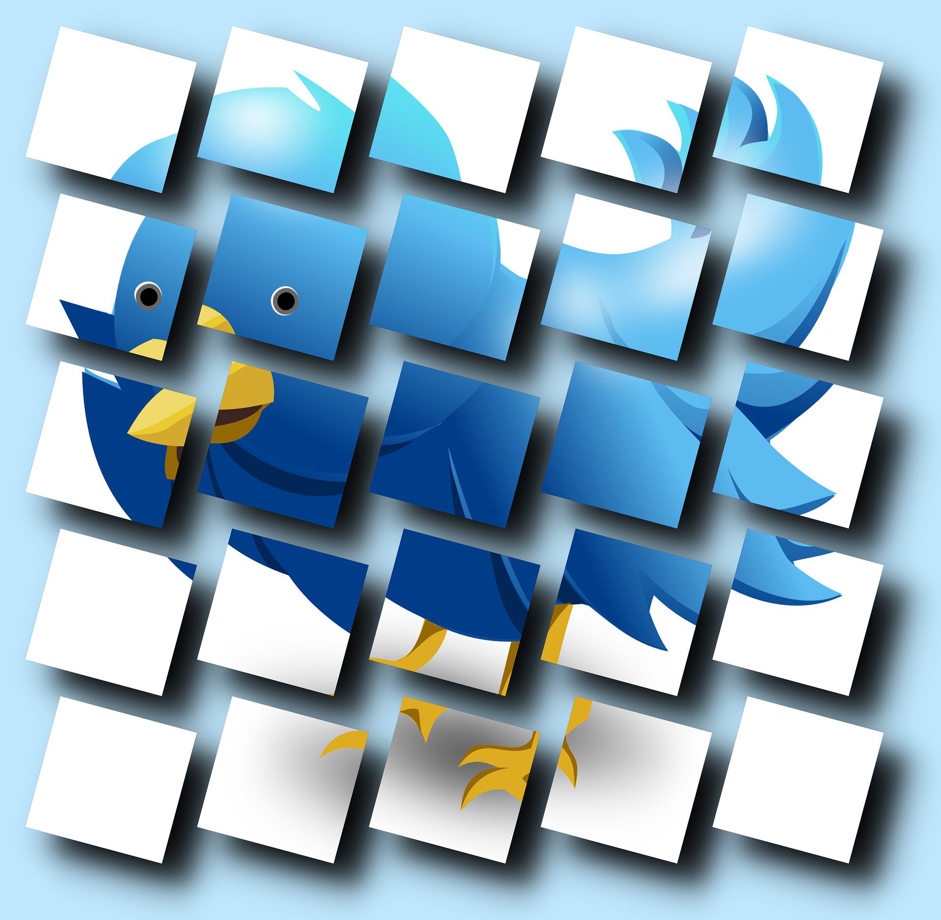 Twitter Brand Twitter Brand
